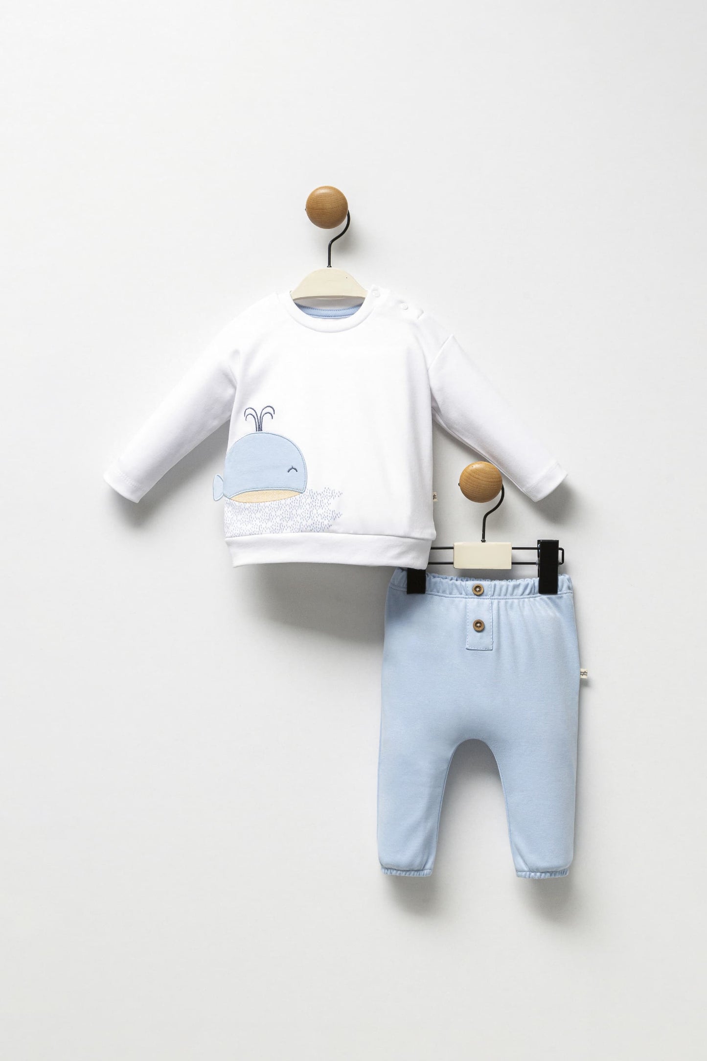fish set