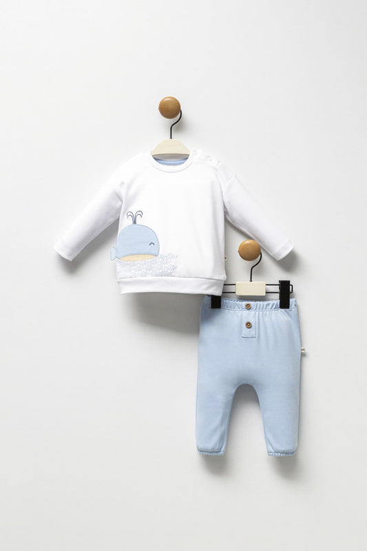 fish set