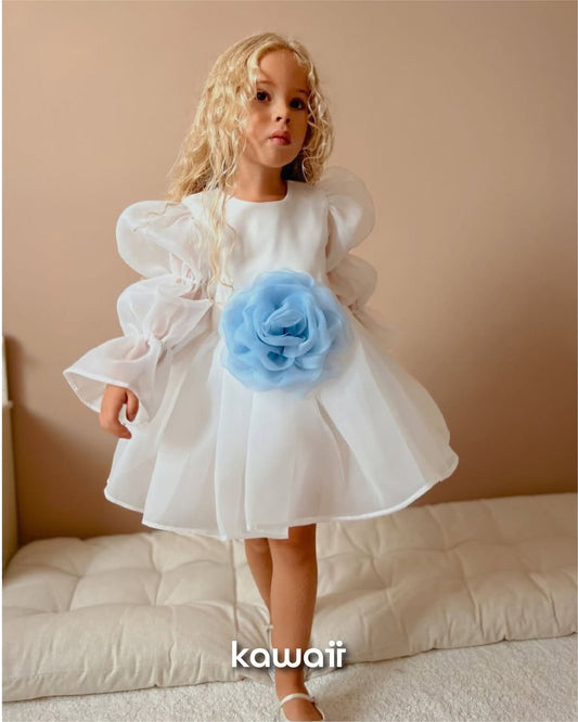 Bow dress long Sleeve