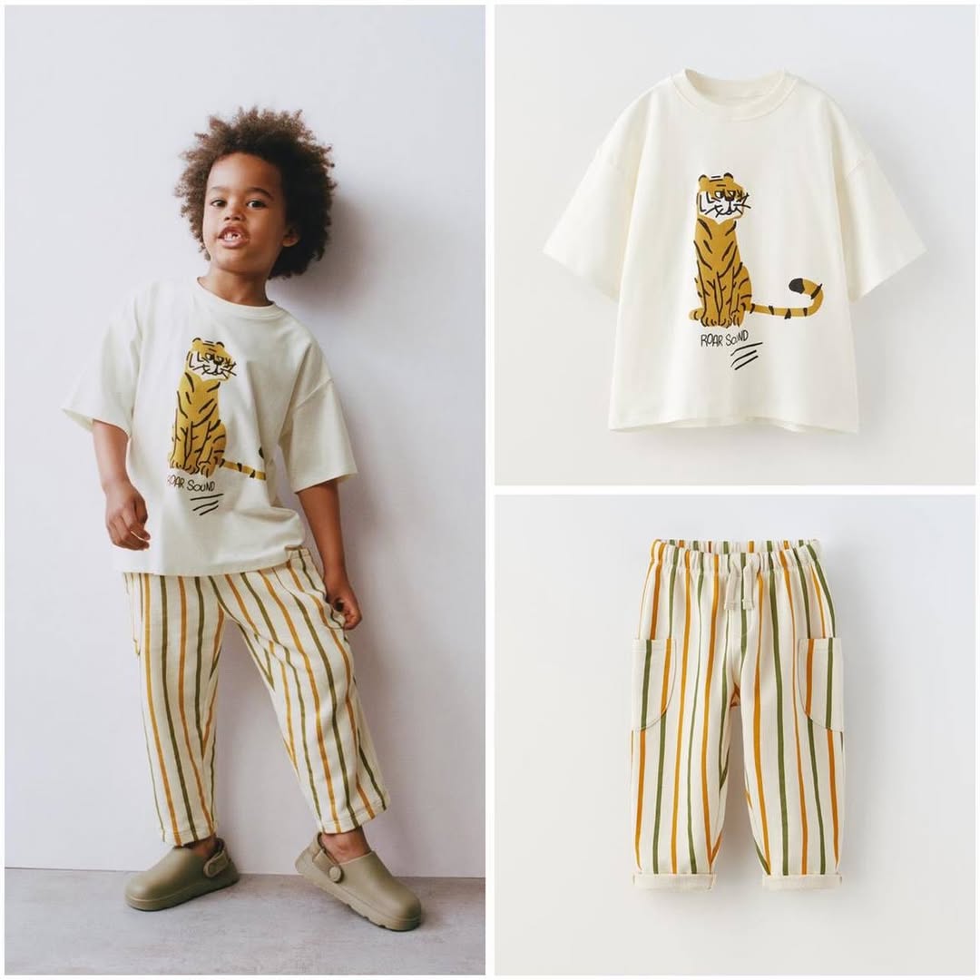 Bear Set 36