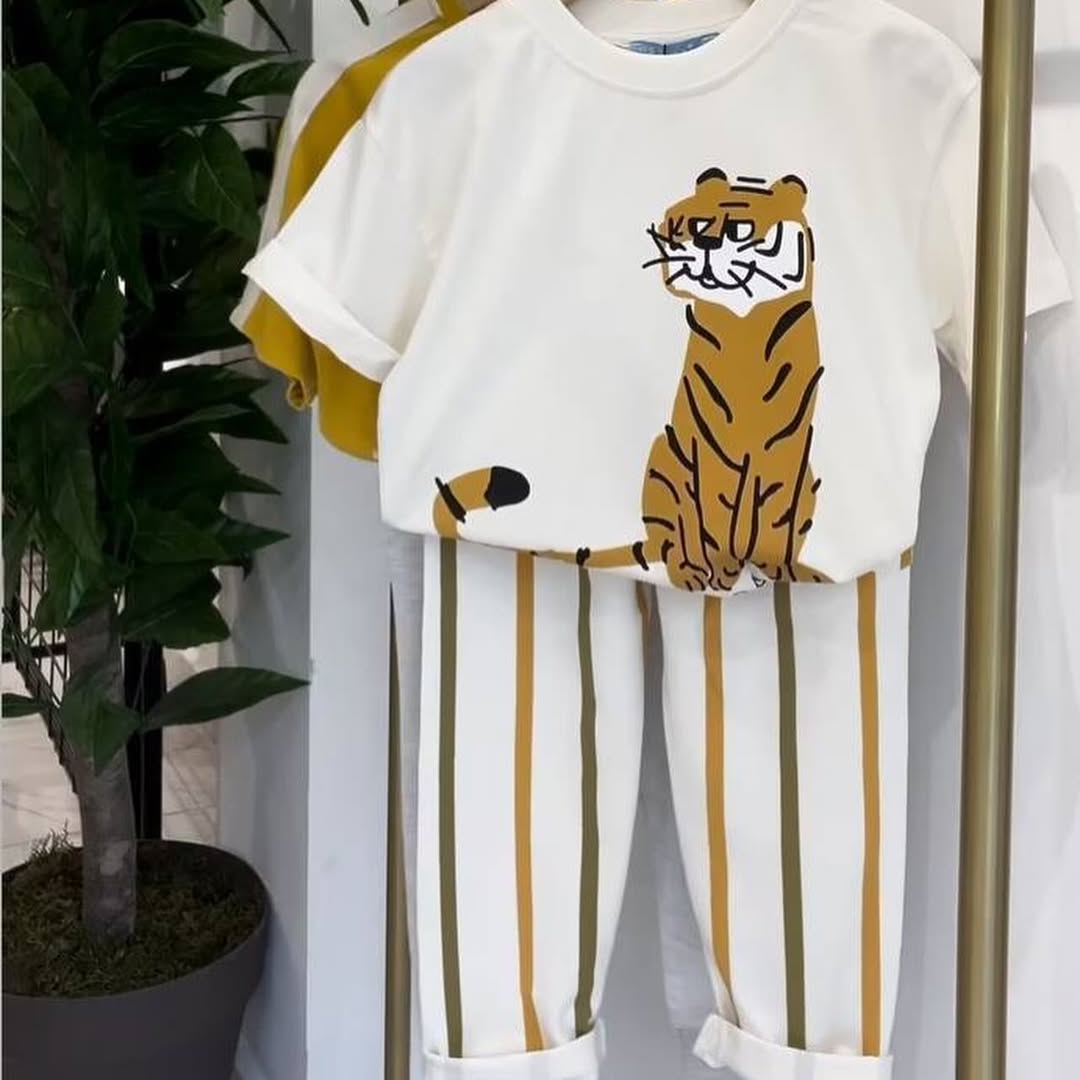 Bear Set 36